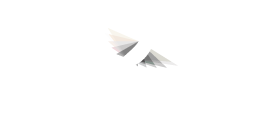 vidierre